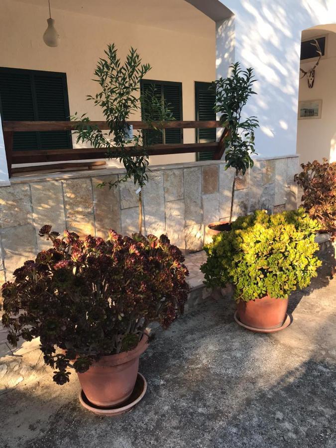 Villa Monica Appartamenti Vieste Exterior foto