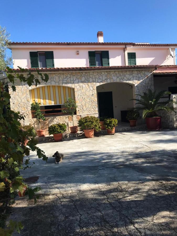 Villa Monica Appartamenti Vieste Exterior foto