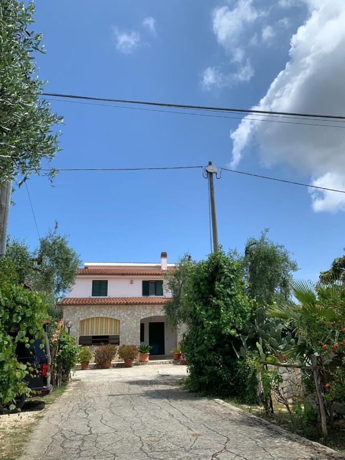 Villa Monica Appartamenti Vieste Exterior foto