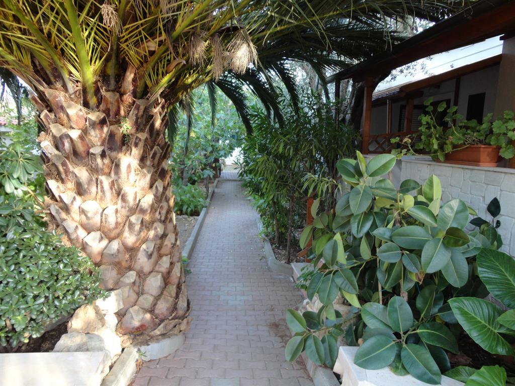 Villa Monica Appartamenti Vieste Exterior foto