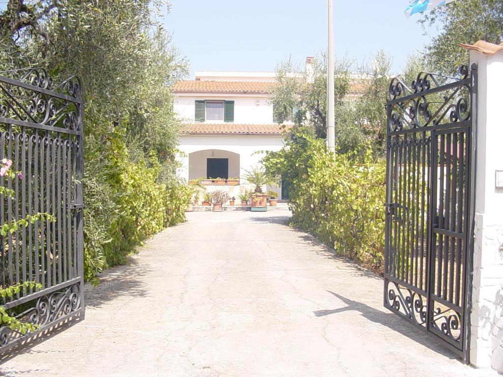 Villa Monica Appartamenti Vieste Exterior foto
